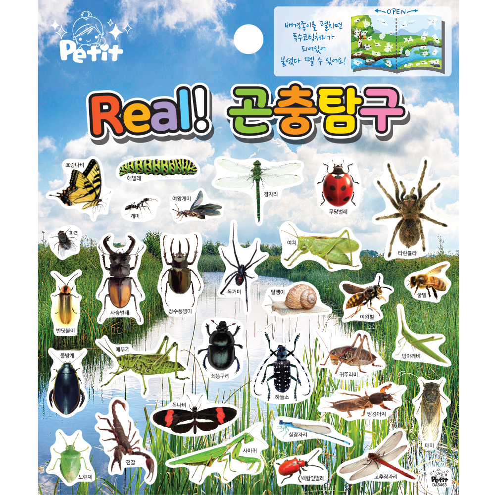 DA5463 BIG Real 곤충탐구