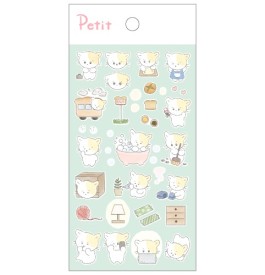 PD929 눈썹냥이의 일주일